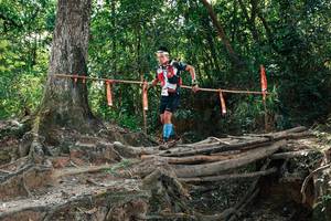 BIB: 
                            <button type="button" onclick="openModal(27801973)" class="btn btn-primary btn-sm float-right btn-popup" data-toggle="modal" data-target=".modal-high-quality">
                        <i class="fas fa-shopping-cart"></i> Add to Cart
                    </button>
                                            <button type="button" onclick="isThisMe(27801973, true)" class="btn btn-success btn-sm float-right btn-popup btn-isme hidden" data-toggle="tooltip" data-placement="bottom" title="นี่คือรูปของคุณใช่ไหม คลิกที่นี่เพื่อเอาเข้าอัลบั้ม">
                        <i class="fas fa-plus"></i> Add to album
                    </button>
                    <button type="button" onclick="isThisMe(27801973, false)" class="btn btn-warning btn-sm float-right btn-popup btn-isnotme hidden">
                        <i class="fas fa-ban"></i> Remove from album
                    </button>